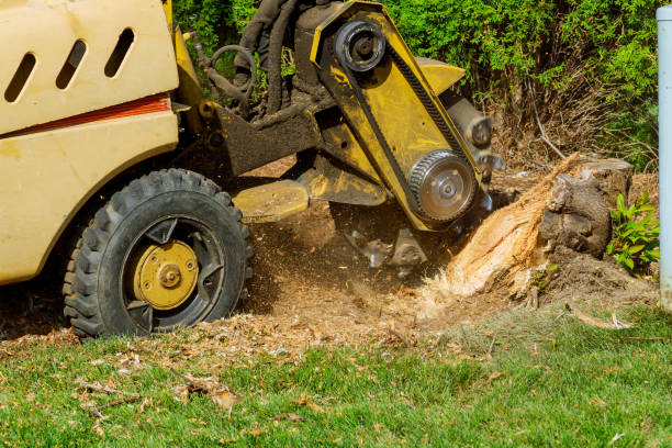 Best Utility Line Clearance  in Shawnee, KS