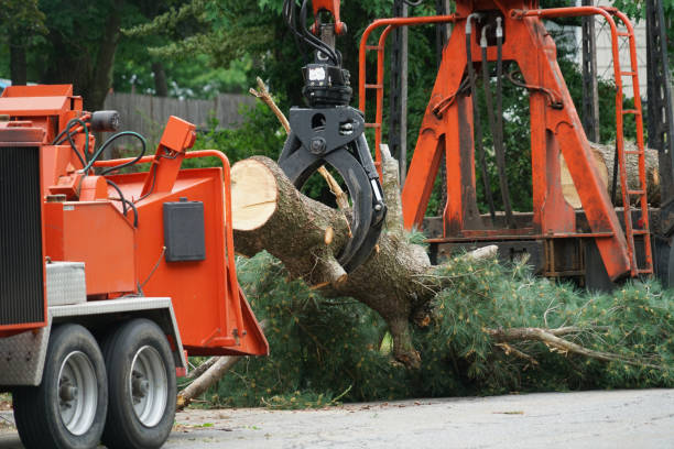 Best Grass Overseeding  in Shawnee, KS